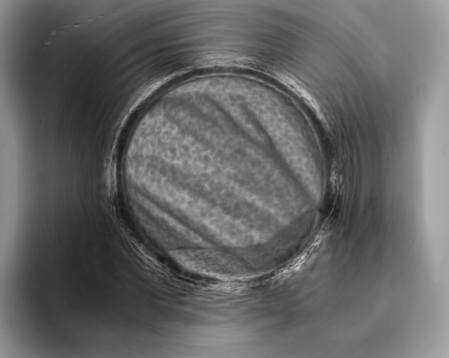 X0000093160877200710171208