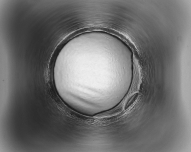 X0000093160879200710171208