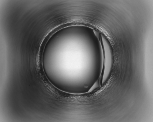 X0000093160880200710171208