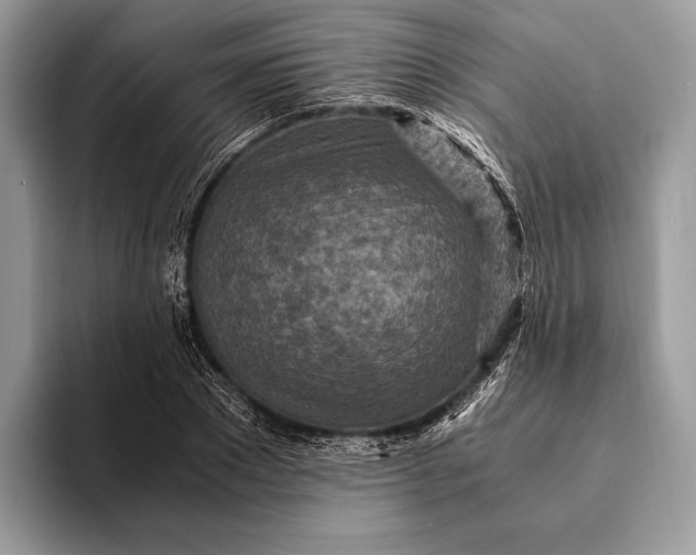 X0000093160881200710171208