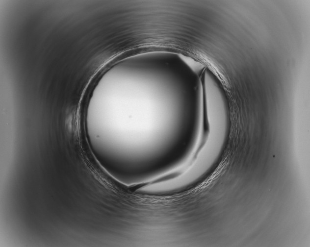 X0000093160884200710171208