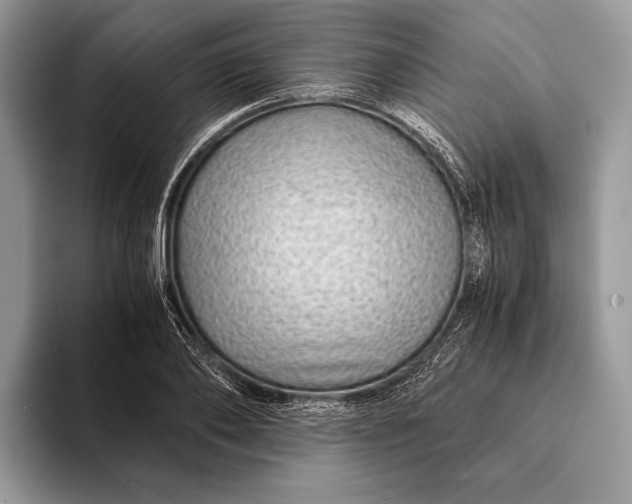 X0000093160886200710171208