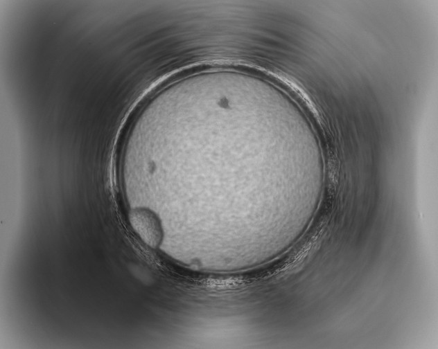 X0000093160887200710171207