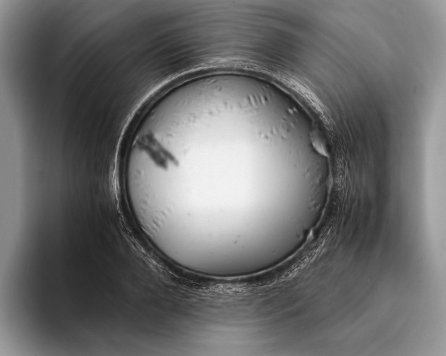 X0000093160888200710171207