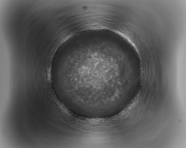 X0000093160889200710171207