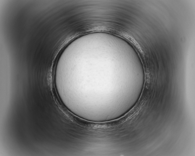 X0000093160890200710171207
