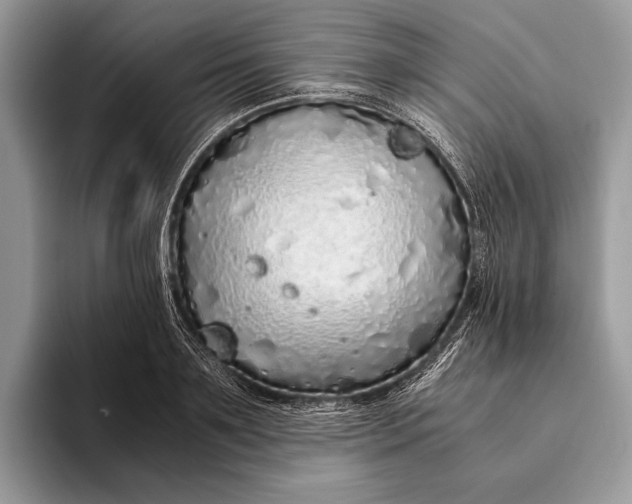 X0000093160891200710171207