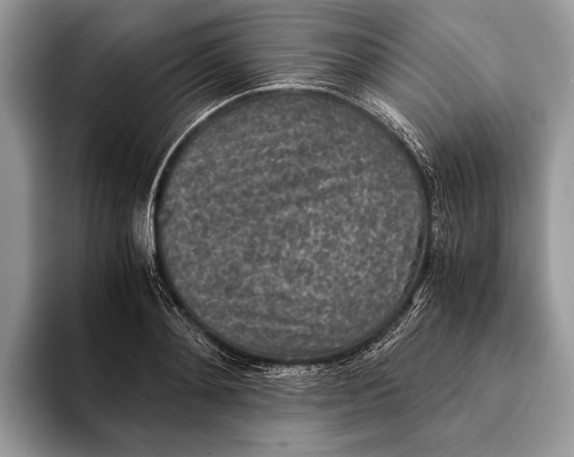 X0000093160892200710171207