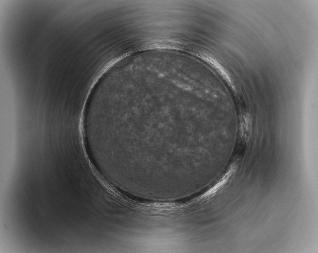 X0000093160893200710171207