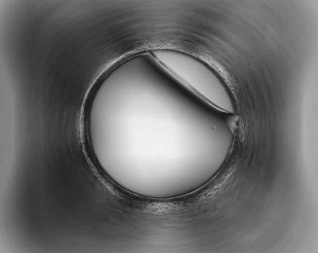 X0000093160894200710171207