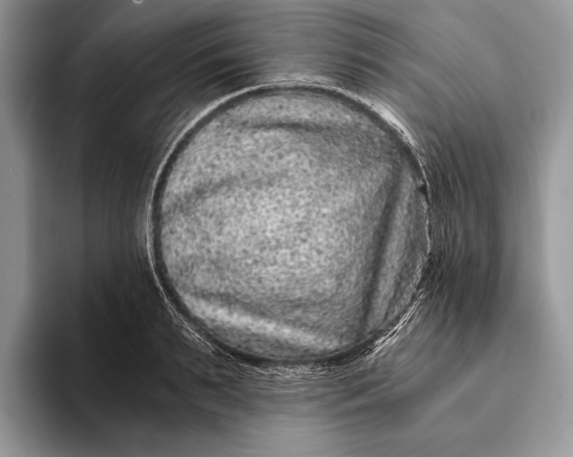 X0000093160895200710171207