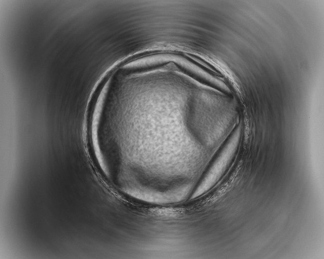 X0000093160896200710171207