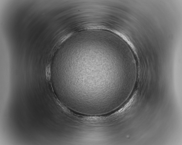 X0000093160897200710171207