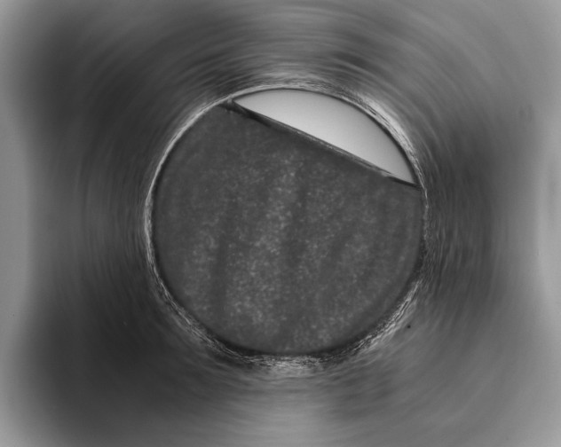 X0000093160899200710171207