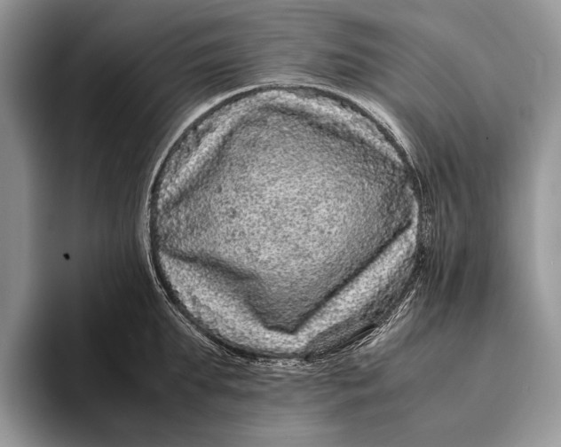 X0000093160903200710171207
