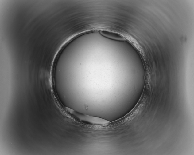 X0000093160904200710171207