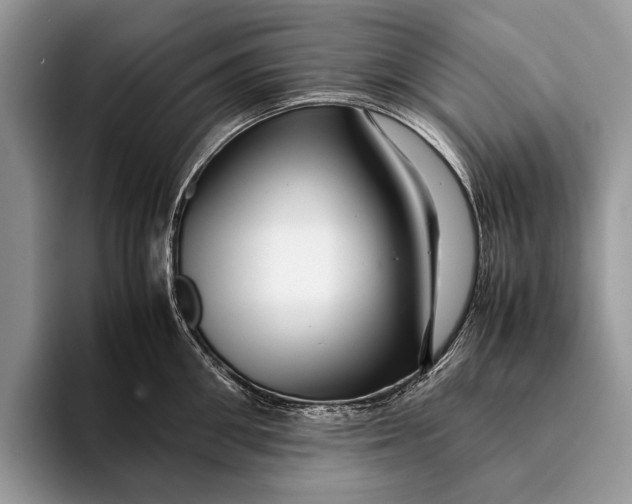 X0000093160906200710171207