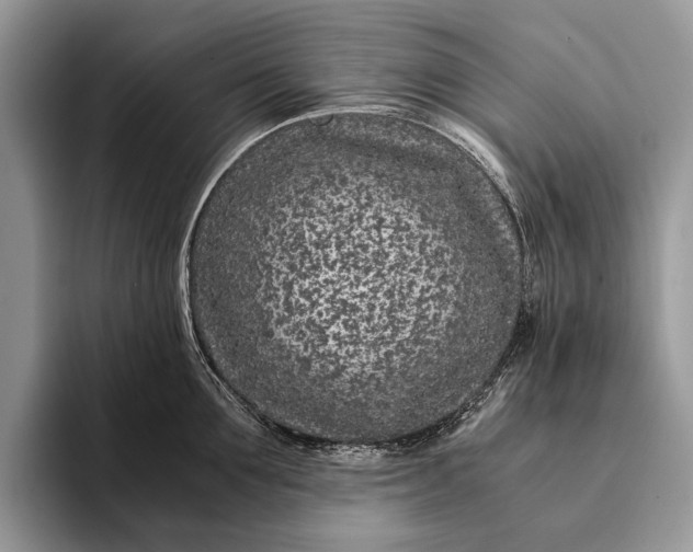 X0000093160907200710171207