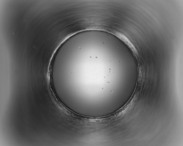 X0000093160908200710171207