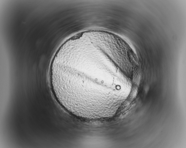 X0000093160911200710171207
