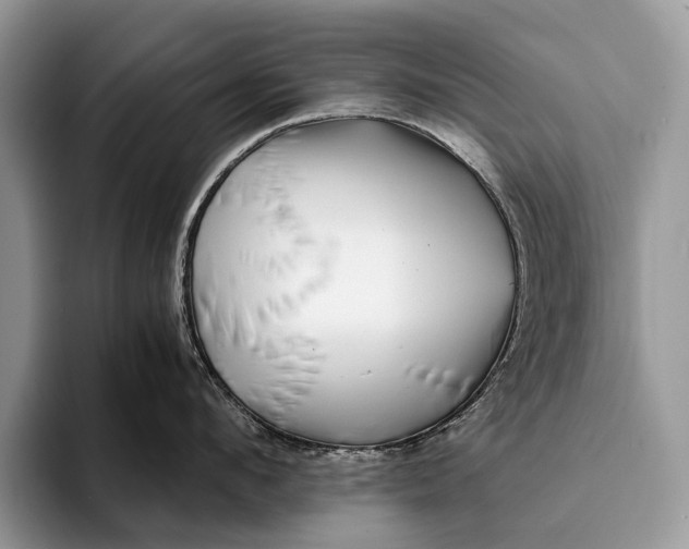 X0000093160912200710171207