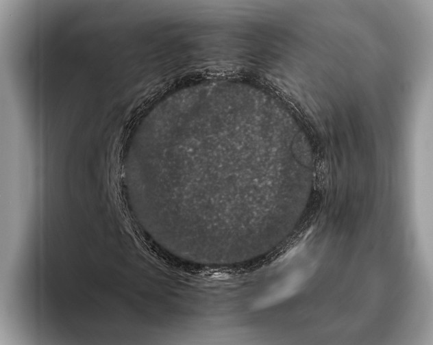 X0000093160913200710171207