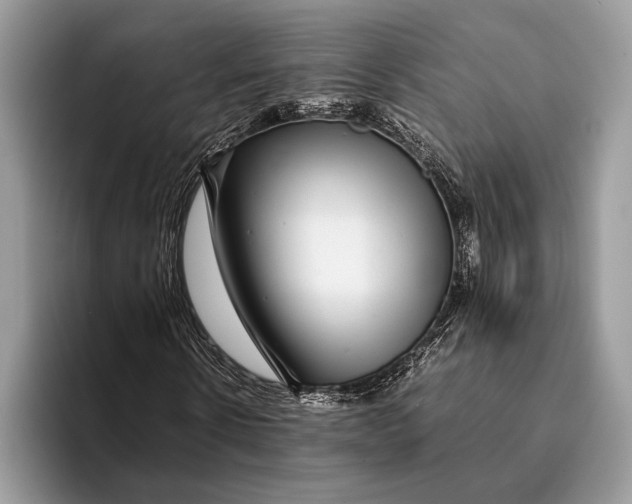 X0000093160914200710171207