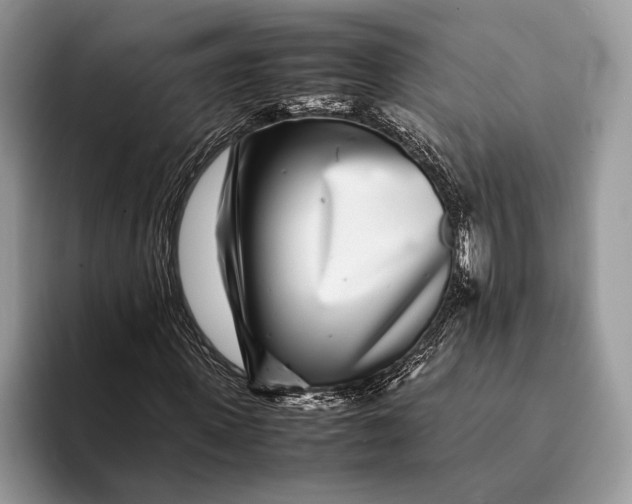 X0000093160915200710171207