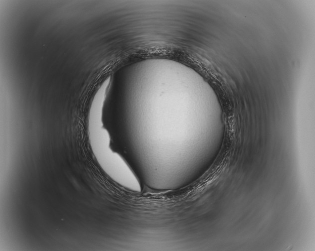 X0000093160916200710171207