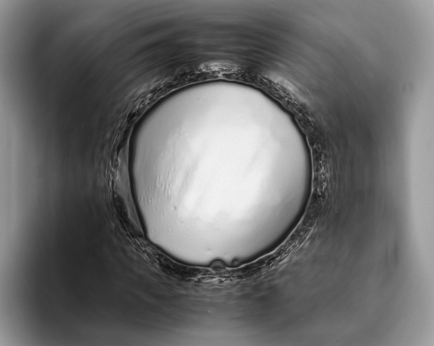 X0000093160917200710171207