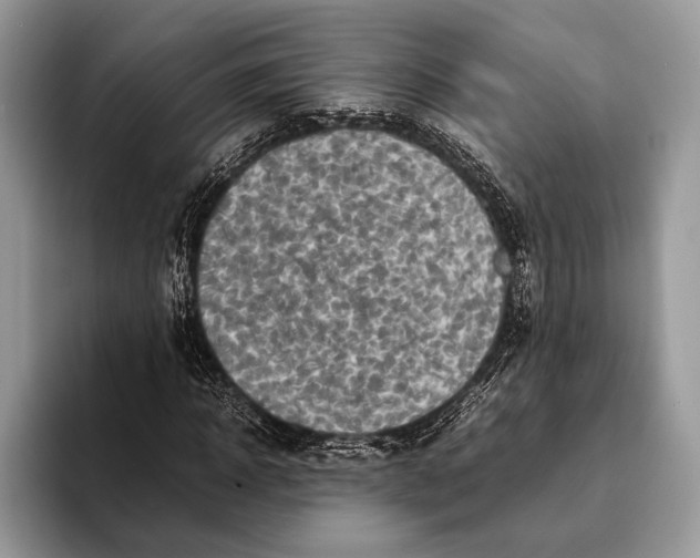 X0000093160918200710171207