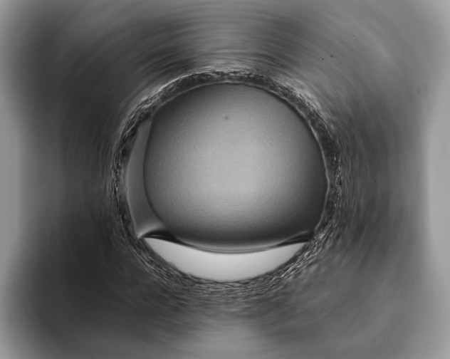 X0000093160920200710171207