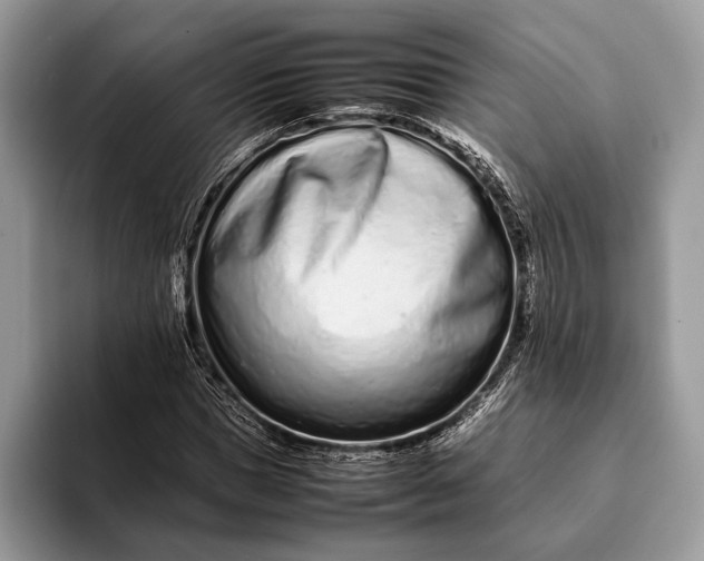 X0000093160921200710171207