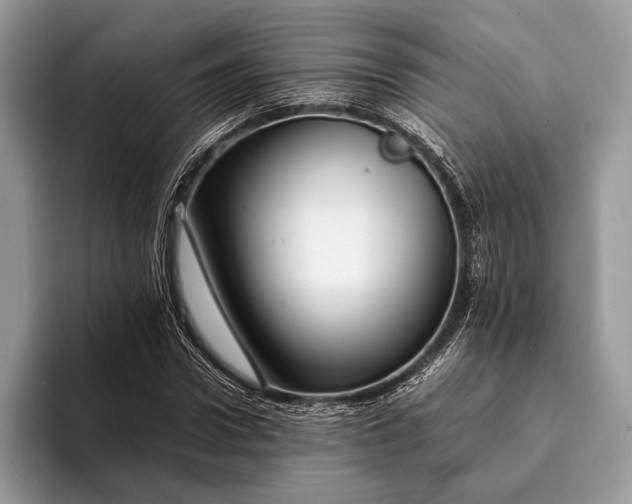 X0000093160922200710171207