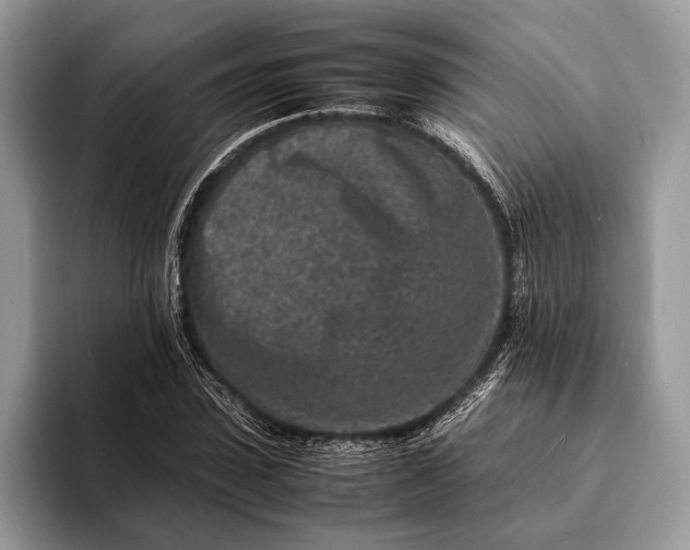 X0000093160923200710171207
