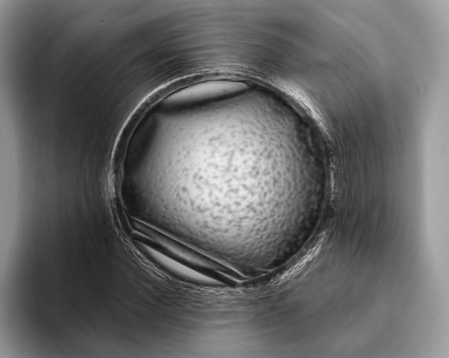 X0000093160924200710171207