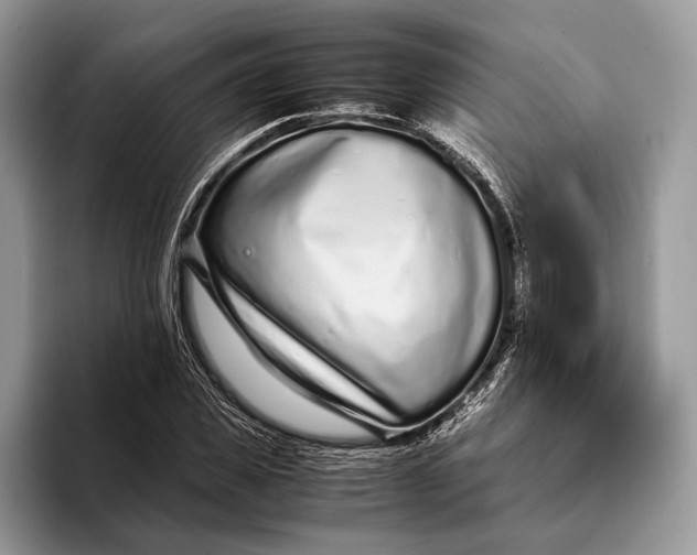 X0000093160925200710171207