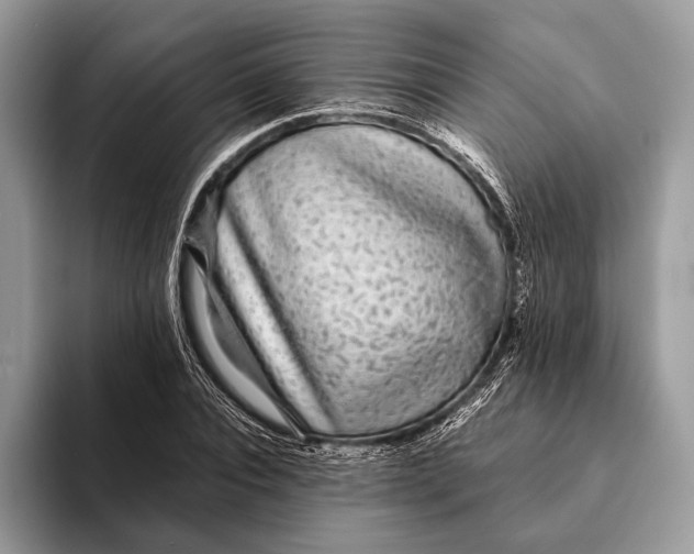 X0000093160928200710171207