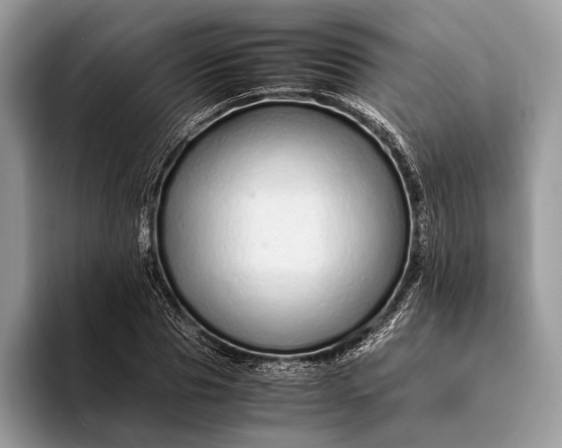 X0000093160929200710171207