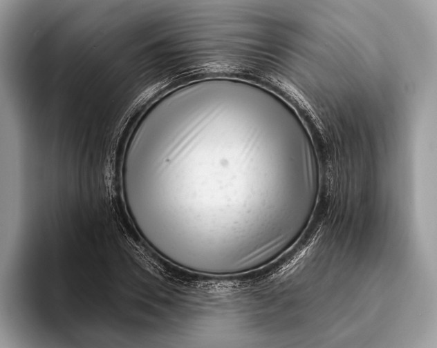 X0000093160930200710171207