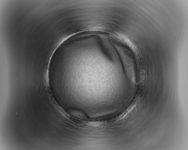 X0000093160932200710171207