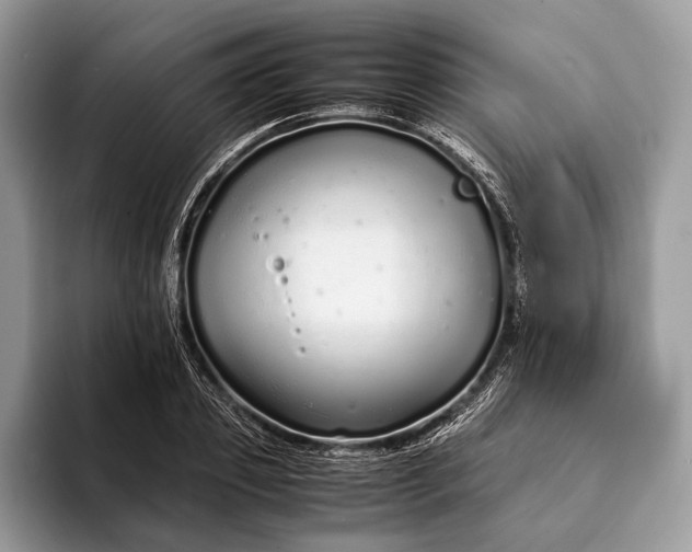 X0000093160933200710171207