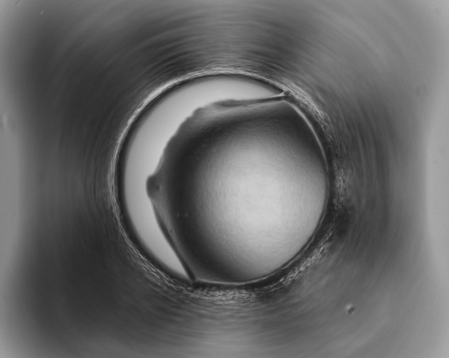 X0000093160934200710171207