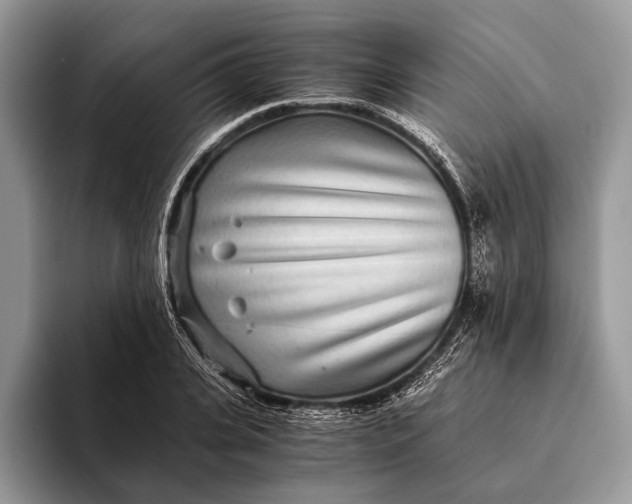 X0000093160935200710171207