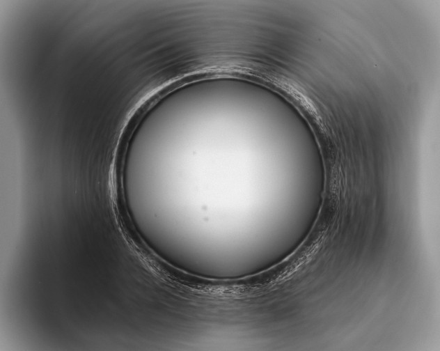 X0000093160936200710171207