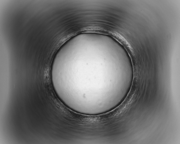 X0000093160937200710171207