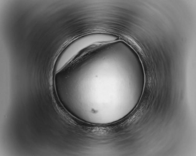 X0000093160938200710171207