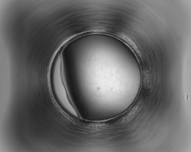X0000093160939200710171207