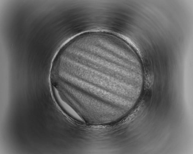 X0000093160943200710171207