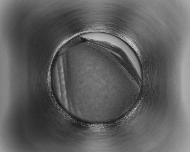 X0000093160944200710171207